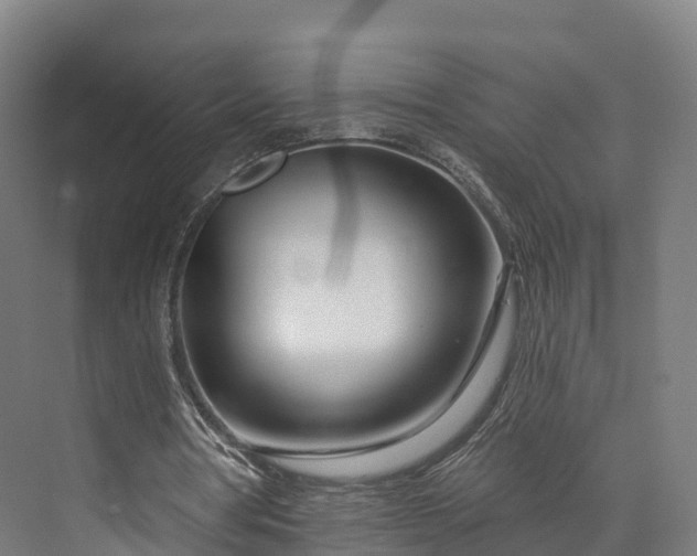 X0000073850386200608171038