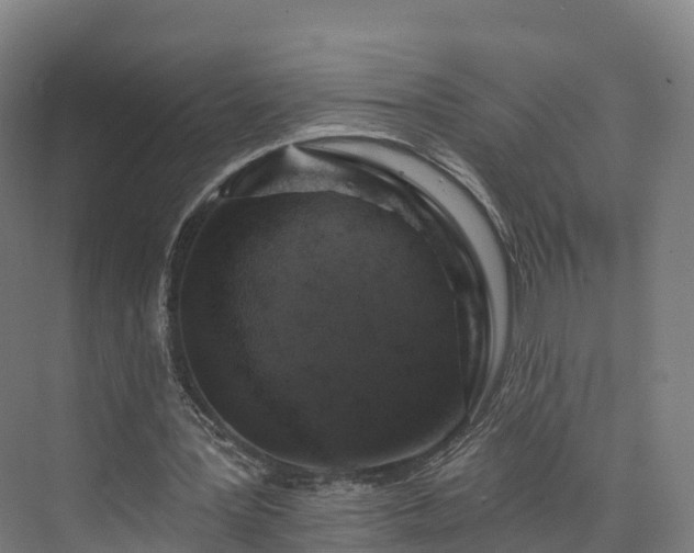 X0000073850387200608171038