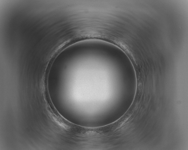 X0000073850390200608171038