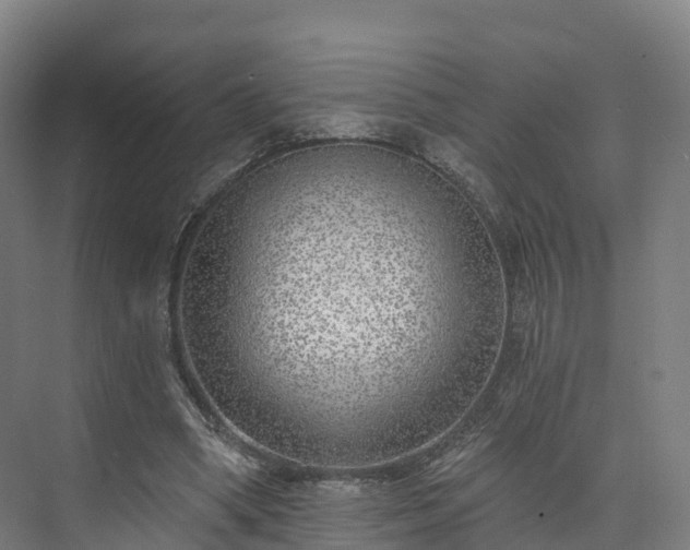 X0000073850394200608171038