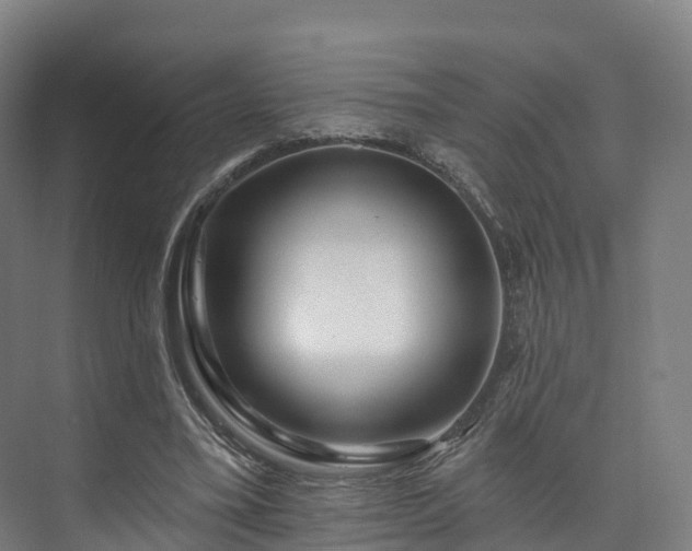 X0000073850395200608171038