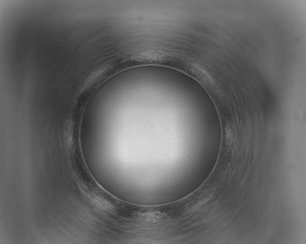 X0000073850396200608171038