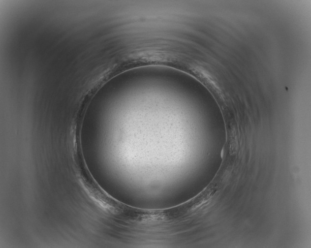 X0000073850398200608171038