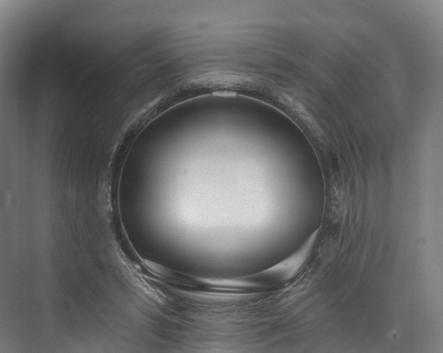 X0000073850399200608171038