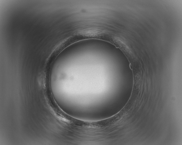 X0000073850400200608171038