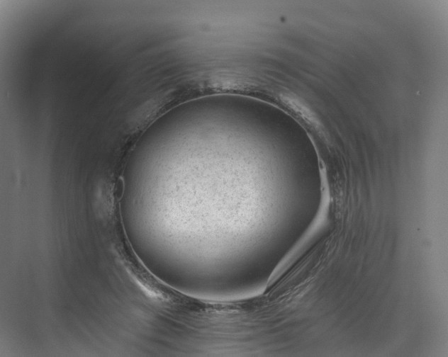 X0000073850401200608171038