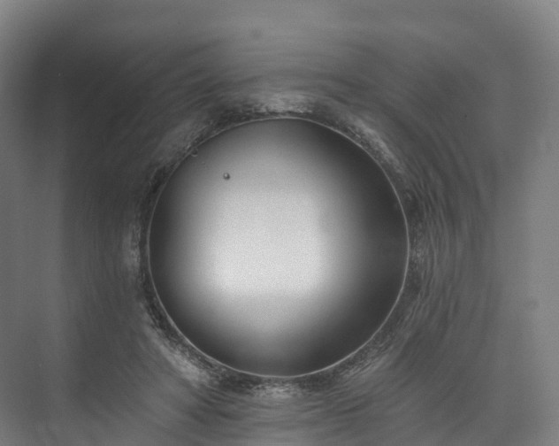 X0000073850402200608171038