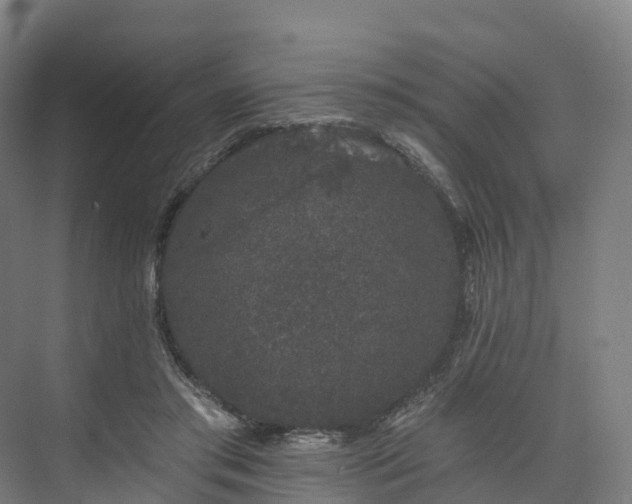 X0000073850405200608171038