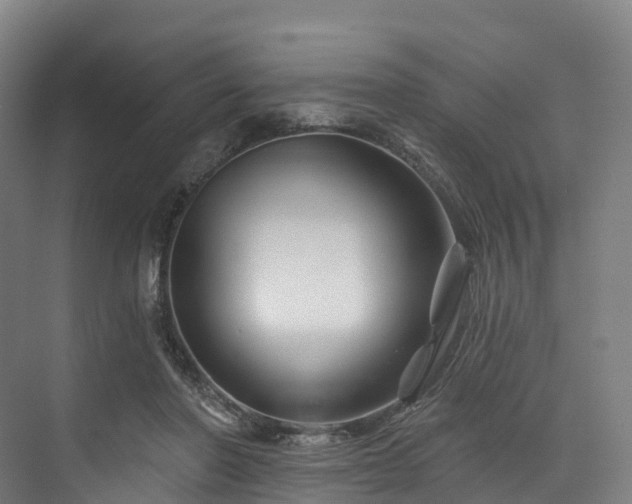 X0000073850406200608171038