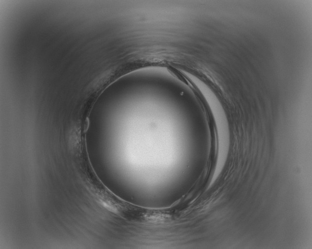 X0000073850407200608171038