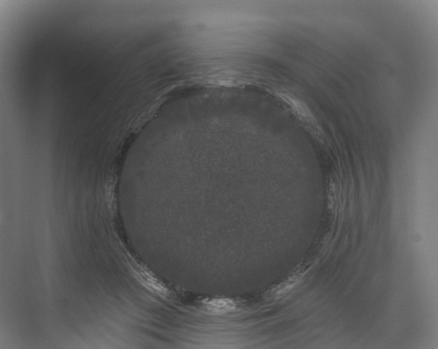 X0000073850409200608171038