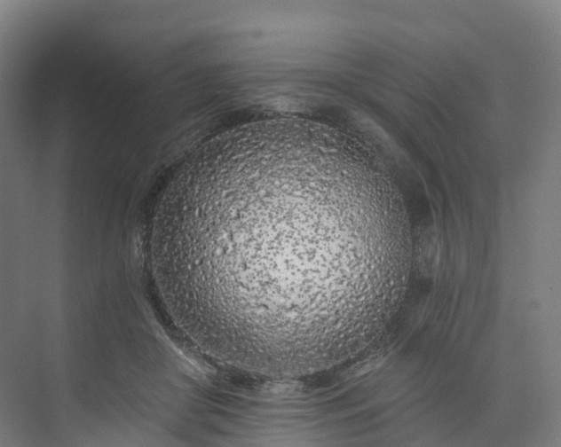 X0000073850410200608171038