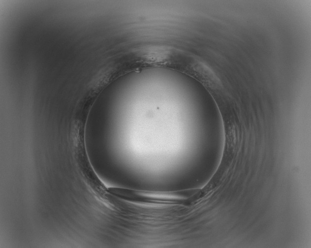 X0000073850412200608171038