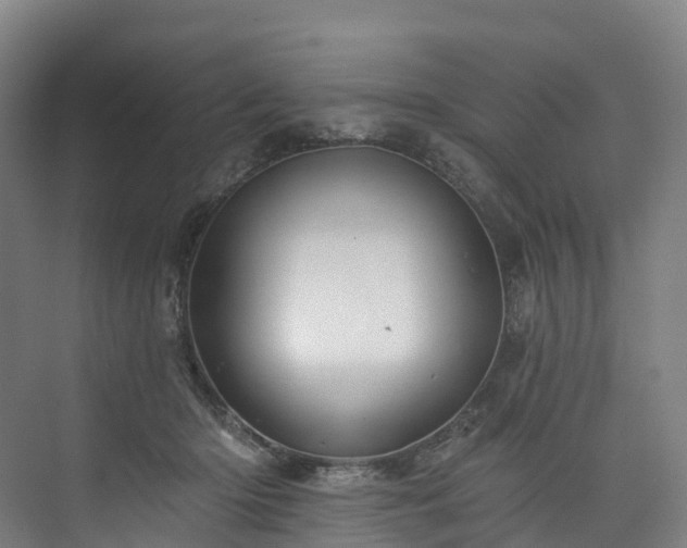 X0000073850414200608171038