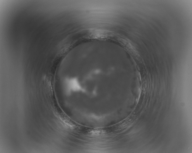 X0000073850415200608171038