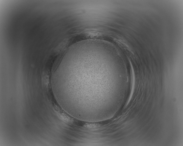 X0000073850417200608171038