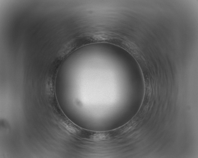 X0000073850418200608171038