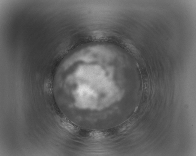 X0000073850419200608171038