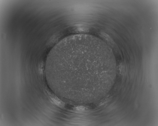 X0000073850423200608171038