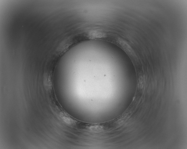 X0000073850426200608171038