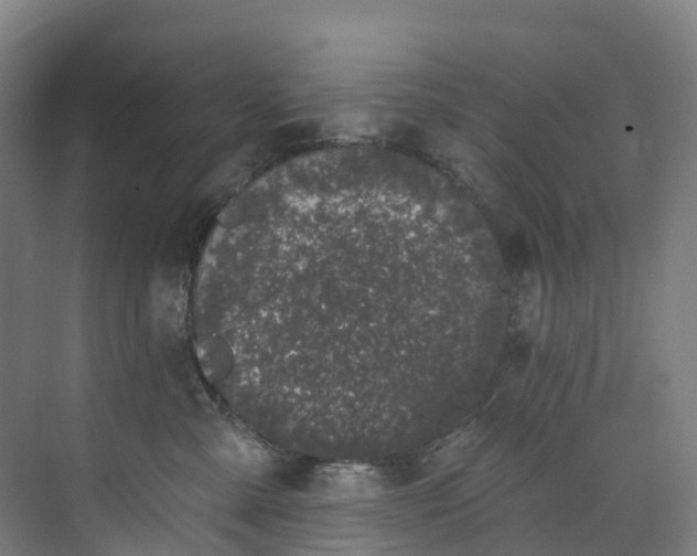 X0000073850427200608171037