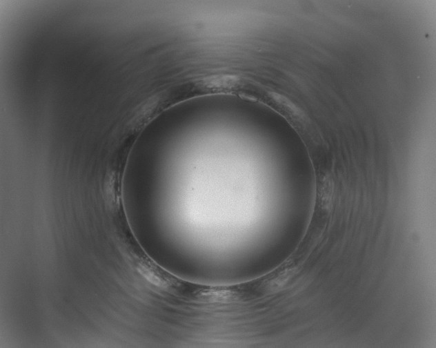 X0000073850428200608171037