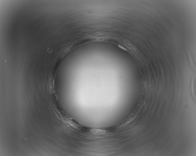 X0000073850429200608171037