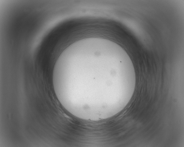 X0000073850431200608171037