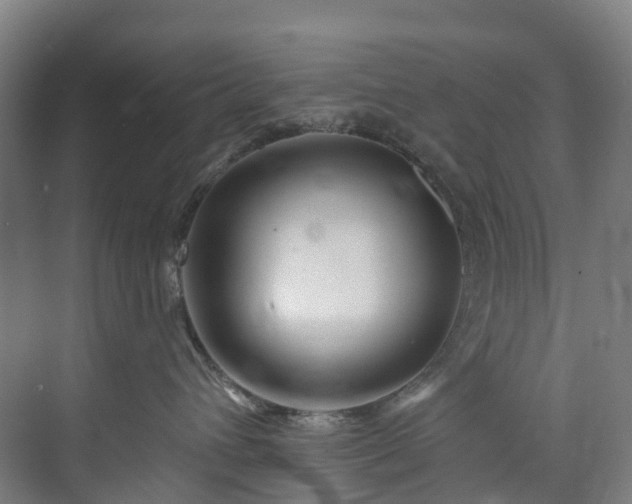 X0000073850432200608171037