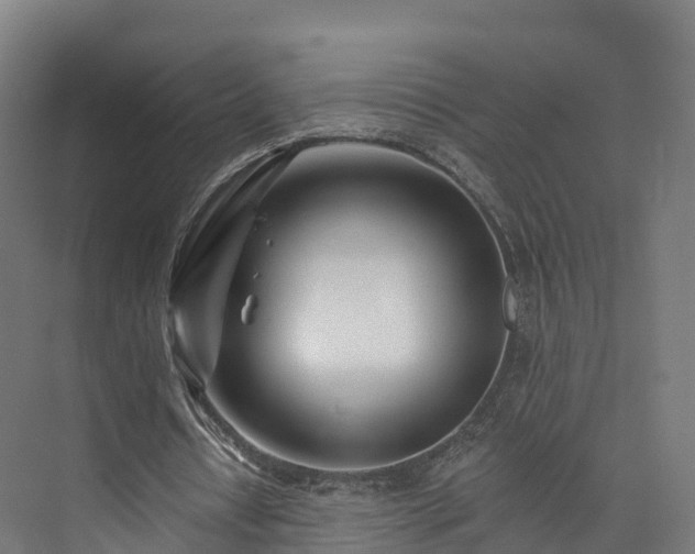 X0000073850434200608171037