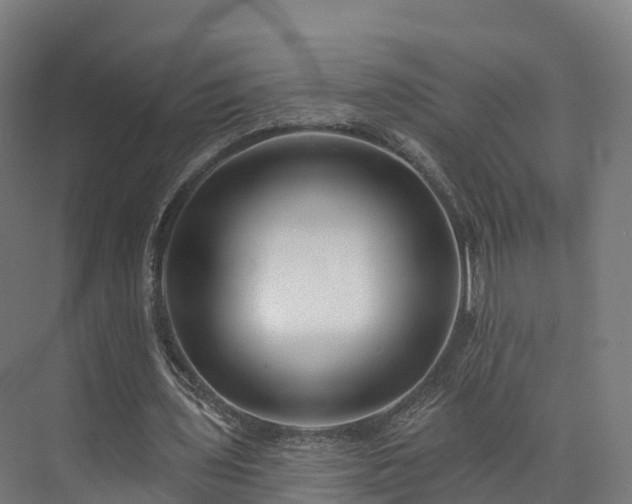 X0000073850435200608171037