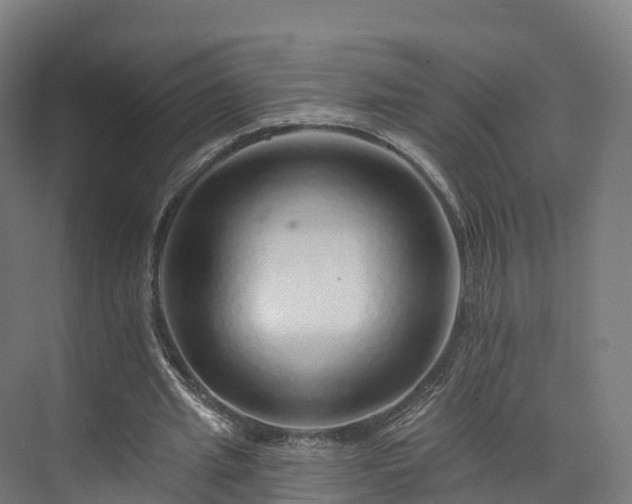 X0000073850437200608171037