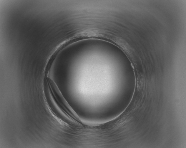 X0000073850438200608171037