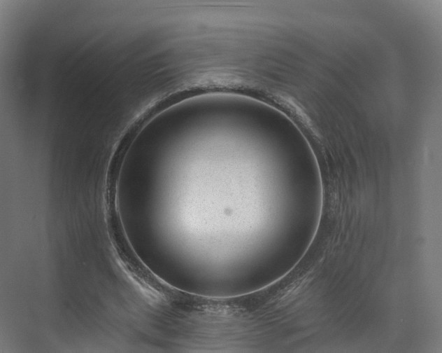 X0000073850439200608171037