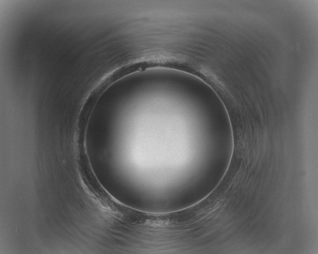 X0000073850440200608171037