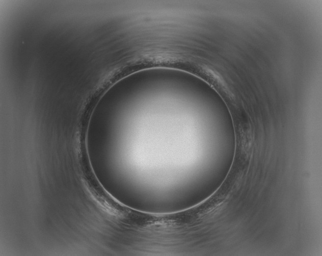 X0000073850447200608171037