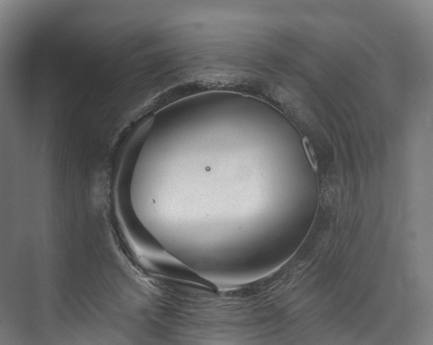 X0000073850448200608171037