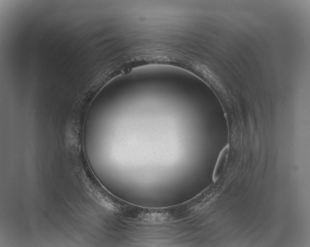 X0000073850449200608171037