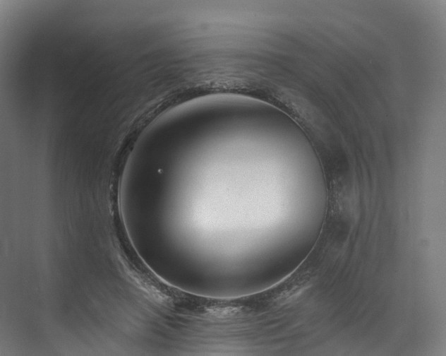 X0000073850450200608171037