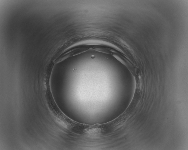 X0000073850452200608171037