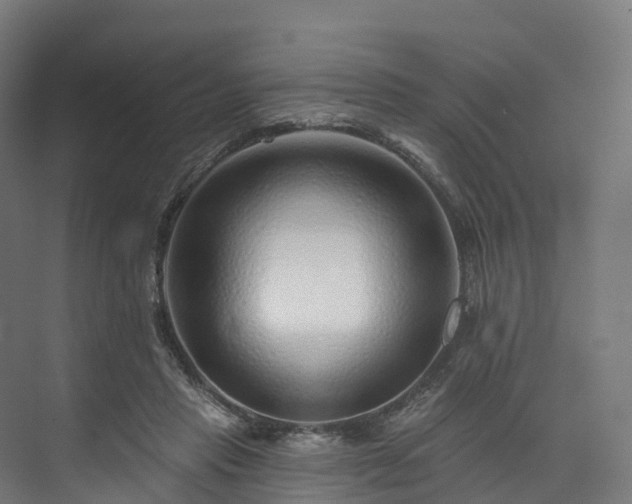 X0000073850453200608171037