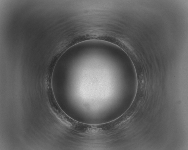 X0000073850455200608171037