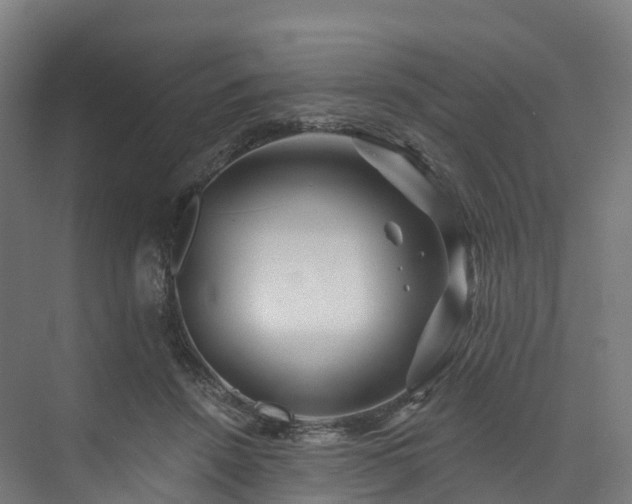 X0000073850456200608171037