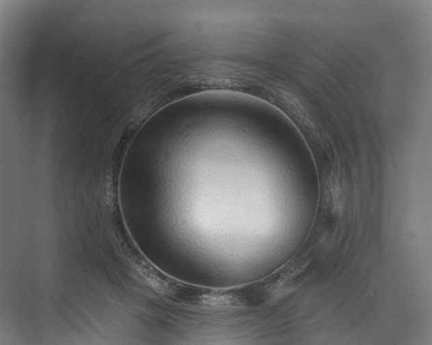 X0000073850457200608171037