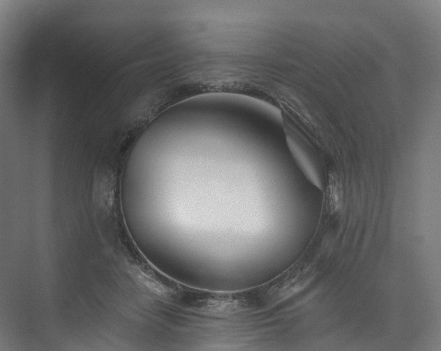 X0000073850458200608171037