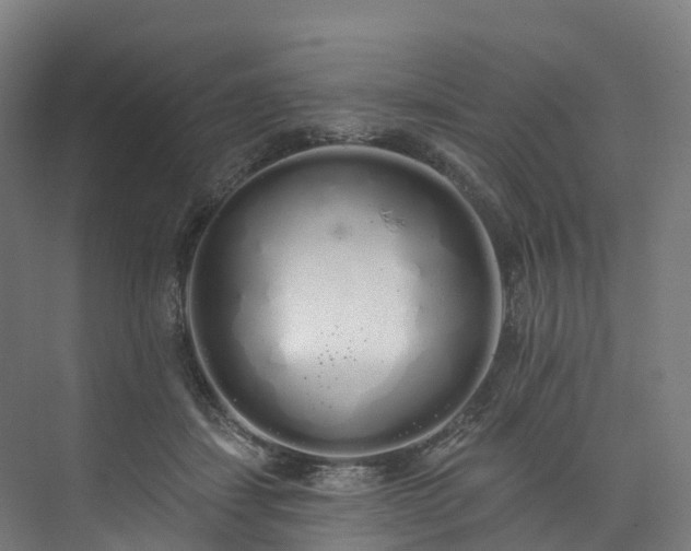 X0000073850459200608171037