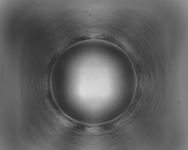 X0000073850461200608171037