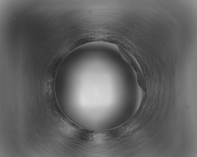 X0000073850462200608171037