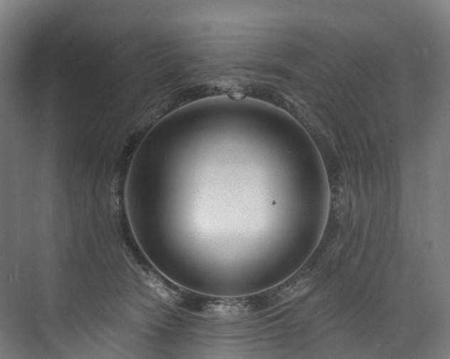 X0000073850466200608171037