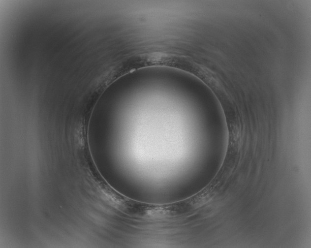 X0000073850470200608171037